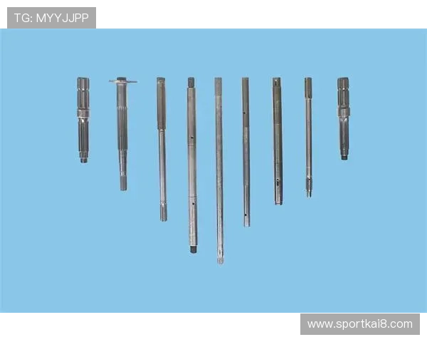 凯发k8官网登入：详细步骤解析确保顺利登录官方平台